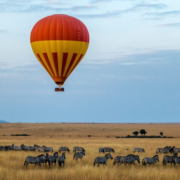 Photo Top 5 destinații de safari în Africa, pentru a experimenta fauna sălbatică și peisajele spectaculoase