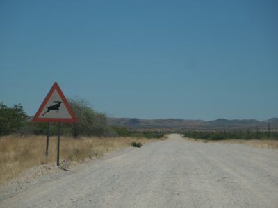 Photo Safari, Africa