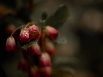 Photo Seasonal destinations