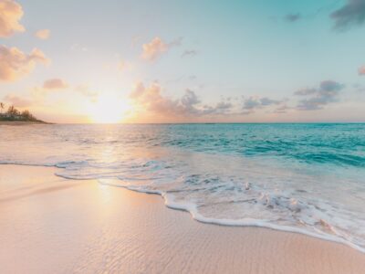Photo Travel scams