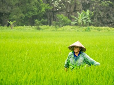 Photo Farmhouse stay