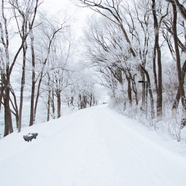 Photo Seasonal landscape