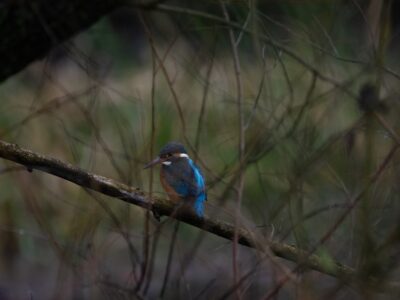 Photo Common mistakes