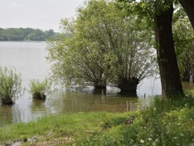 Photo Danube River