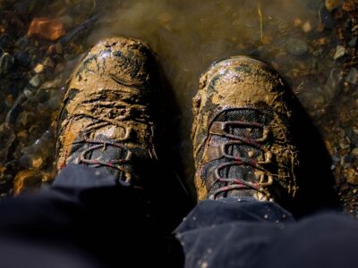 Photo Muddy Danube