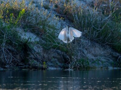 Photo Danube Delta
