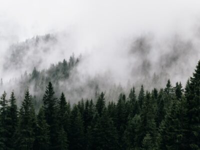 Photo Carpathian Mountains