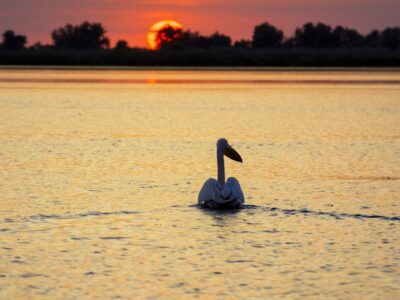 Photo Danube Delta