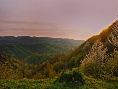 Photo Weekend in Târgu Mureș