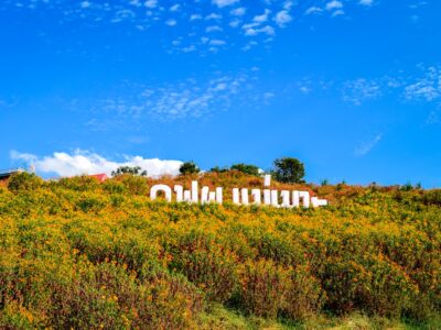 Photo Weekend in Lugoj - Ideas to Visit