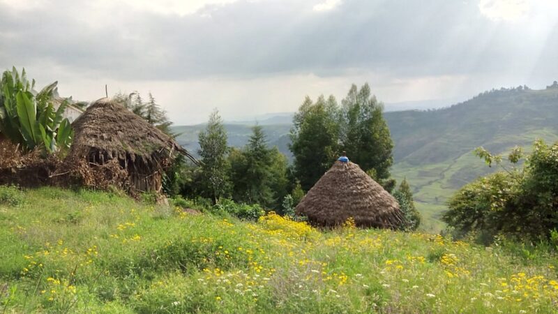 Photo Rural Tourism Arad County - What Villages to Visit