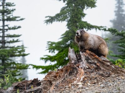 Photo active holidays