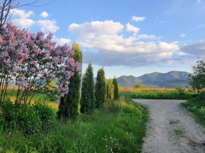 Photo spring landscapes
