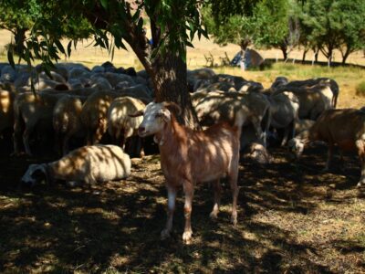 Photo Zalau weekend visit