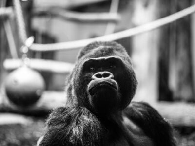 Photo family vacation destinations