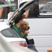 Photo travel with pet