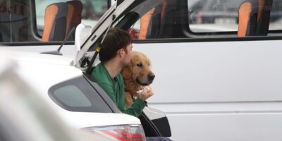 Photo travel with pet