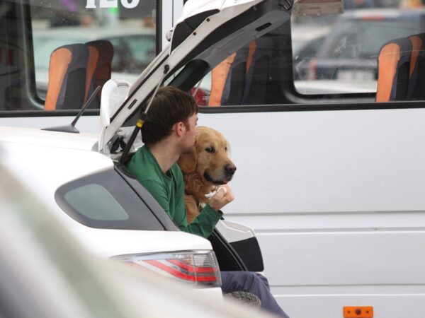 Photo travel with pet