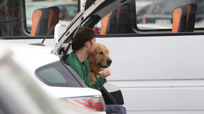 Photo travel with pet