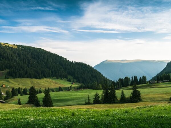 Photo car rental overseas