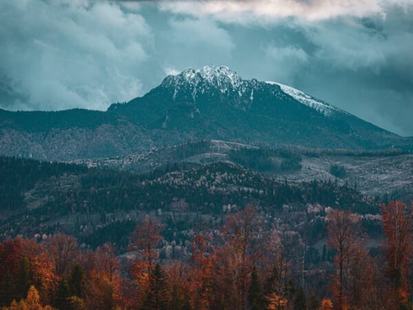 Photo traveling in peak season