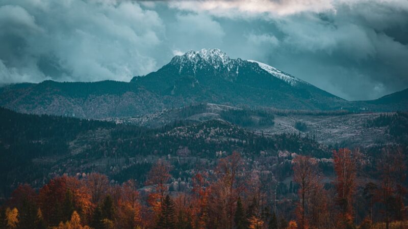 Photo traveling in peak season