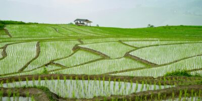 Photo travel in Southeast Asia