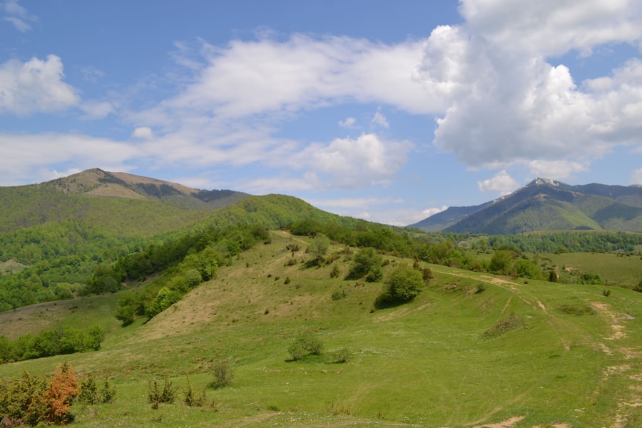 planifici prima călătorie