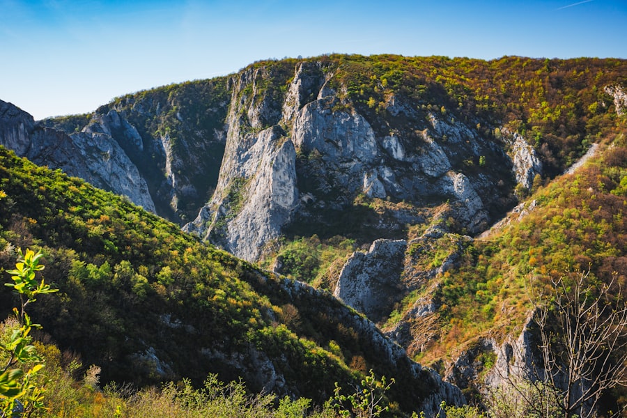 Photo vacanță la munte
