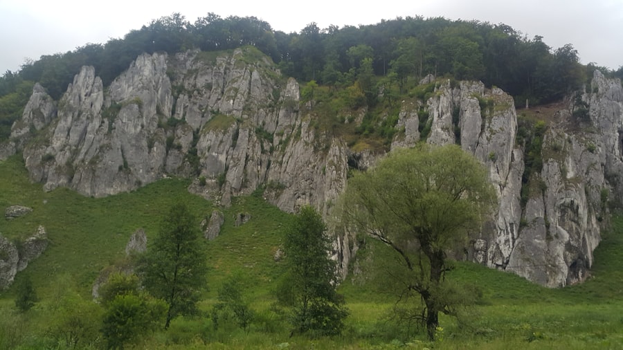 Photo planifici prima călătorie