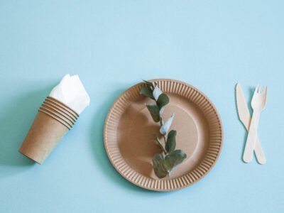 Cum contribuie farfuriile de carton la reducerea poluării cu plastic?