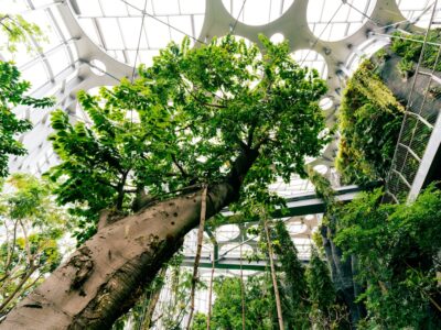 Photo sustainable tourism