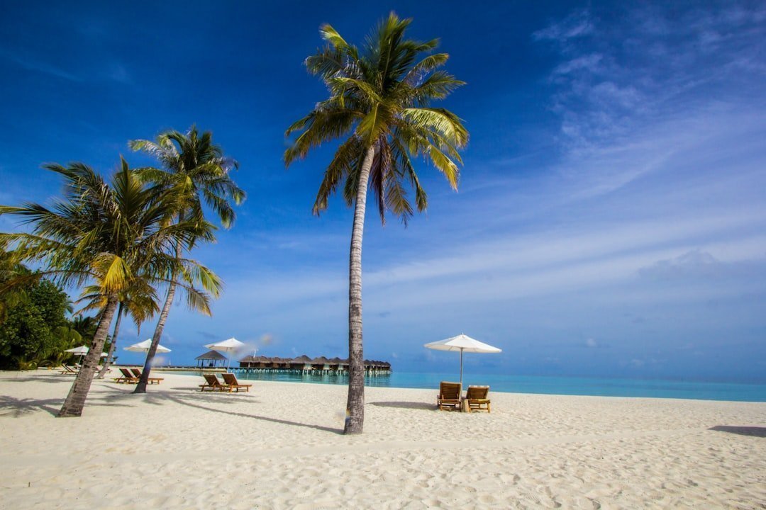 Photo vacation abroad