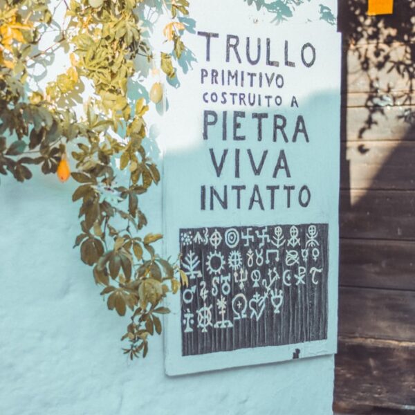 Photo planifica concediu