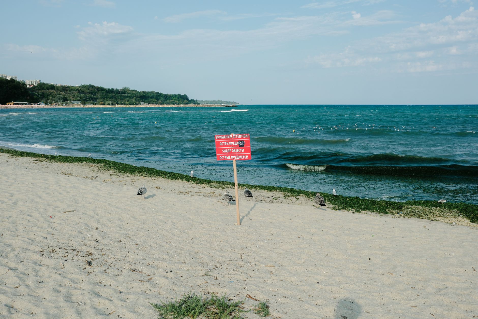 Bilanțul sezonului estival pe litoralul românesc, prezentat de autorități — Turism INFO