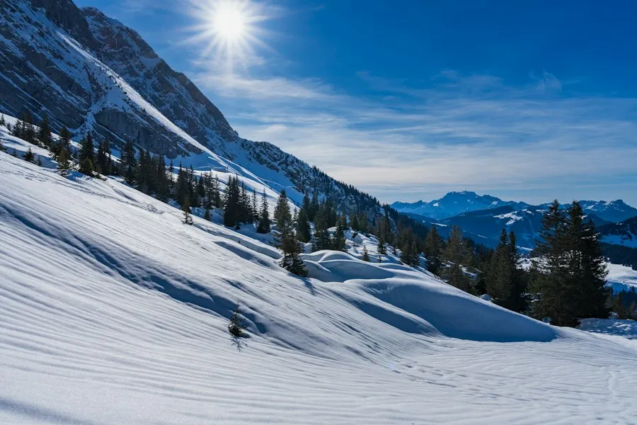 Photo best season guide