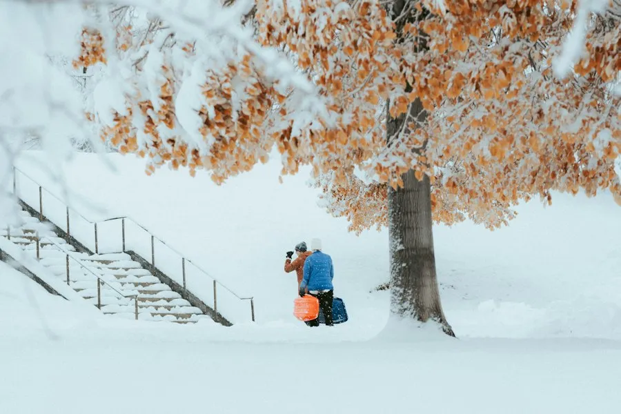 best season guide