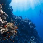 Photo best diving snorkeling destinations world