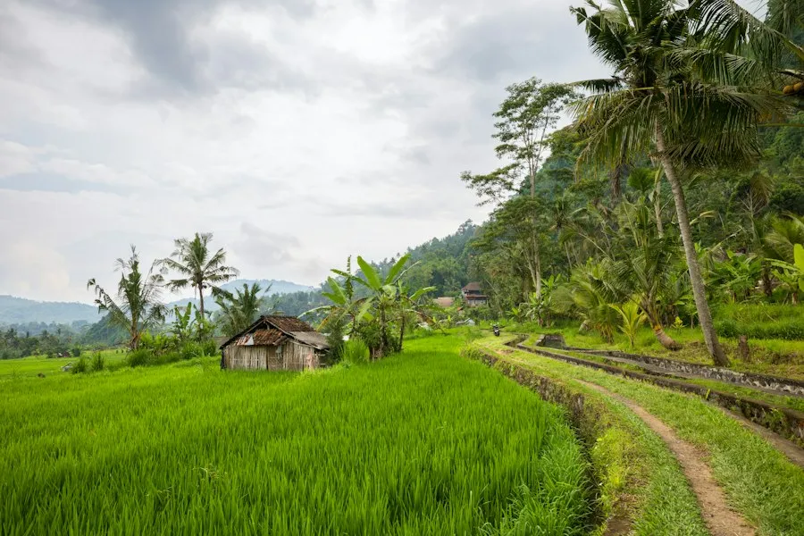 common rural tourism mistakes